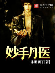 ����С˵:���ֵ�ҽ