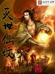 ����С˵:�����ɷ�