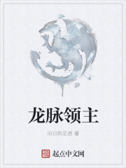 ����С˵:��������