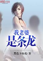 ����С˵:������������