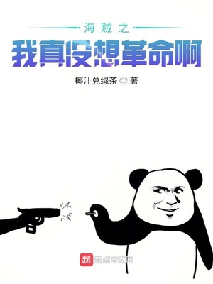 历史小说:海贼之我真没想革命啊 历史小说:海贼之我真没想革命啊