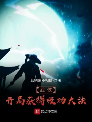 ����С˵:���������ֻ��������