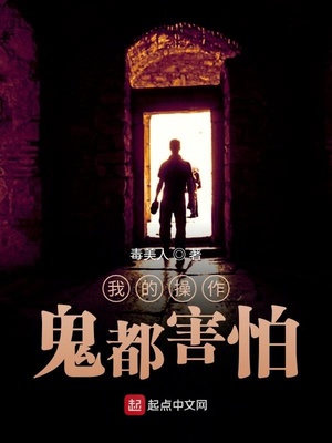 ����С˵:�ҵĲ�����������