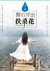 ����С˵:��ʯ������ɣ��