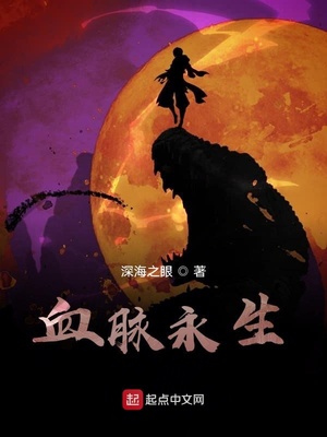 ����С˵:Ѫ������