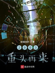 ����С˵:2003��ͷ����