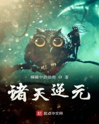 ����С˵:������Ԫ